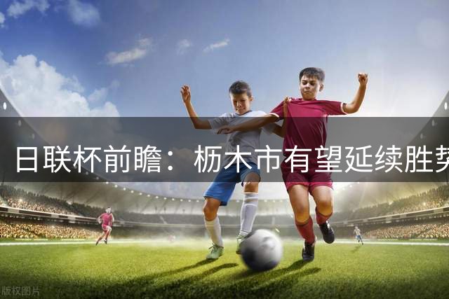 日联杯前瞻：枥木市有望延续胜势